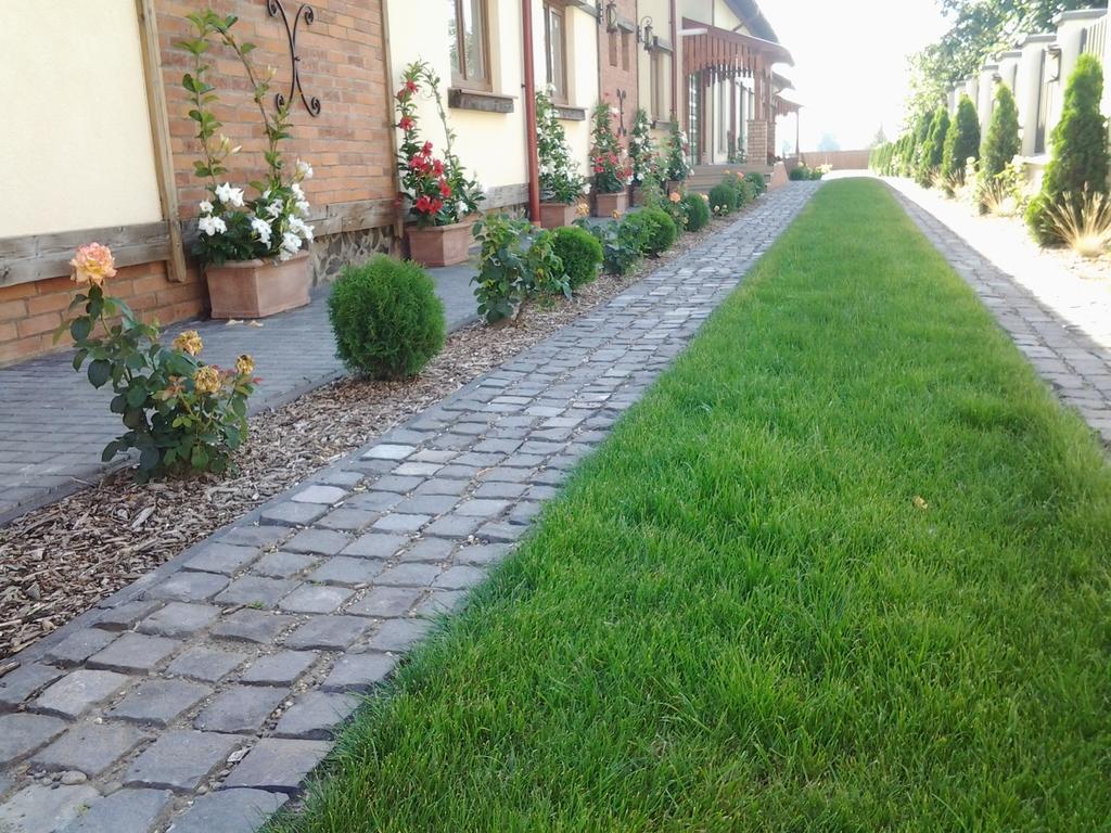 Country Court Bed and Breakfast Curteni Buitenkant foto